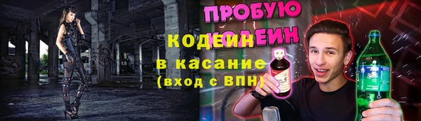 apvp Осинники