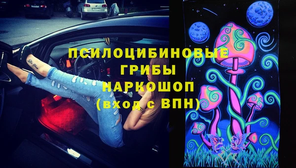 apvp Осинники