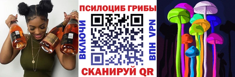Галлюциногенные грибы Psilocybine cubensis  Ветлуга 