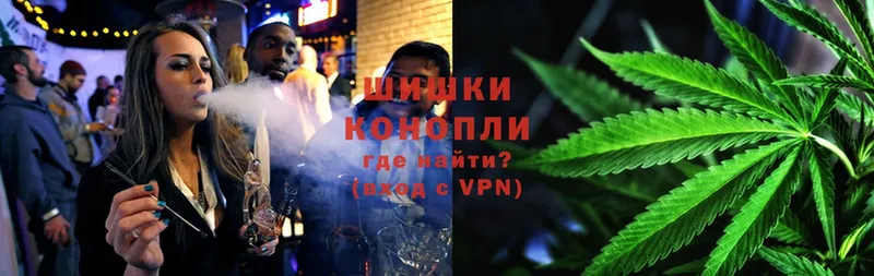 купить   Ветлуга  Бошки Шишки White Widow 